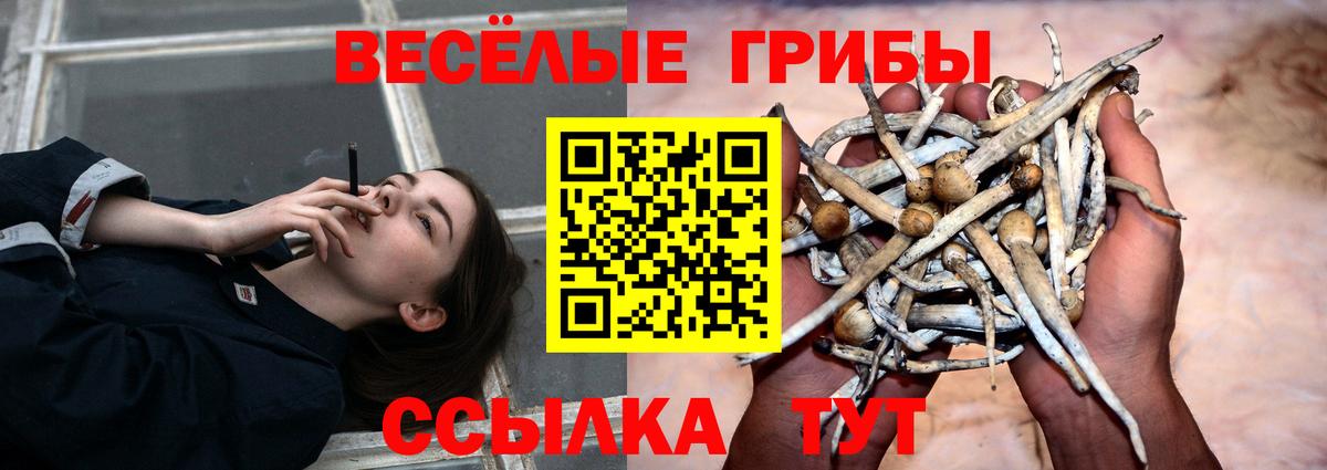 Псилоцибиновые грибы мицелий  Вход с VPN  Мирный 